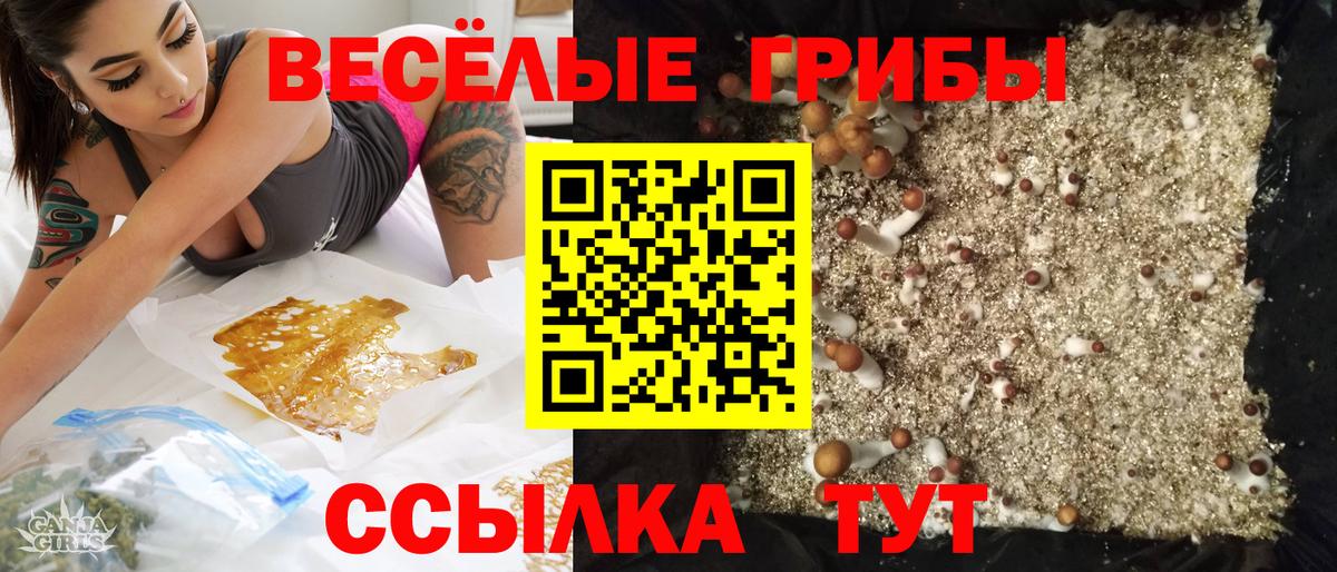 Галлюциногенные грибы Cubensis Усть-Джегута