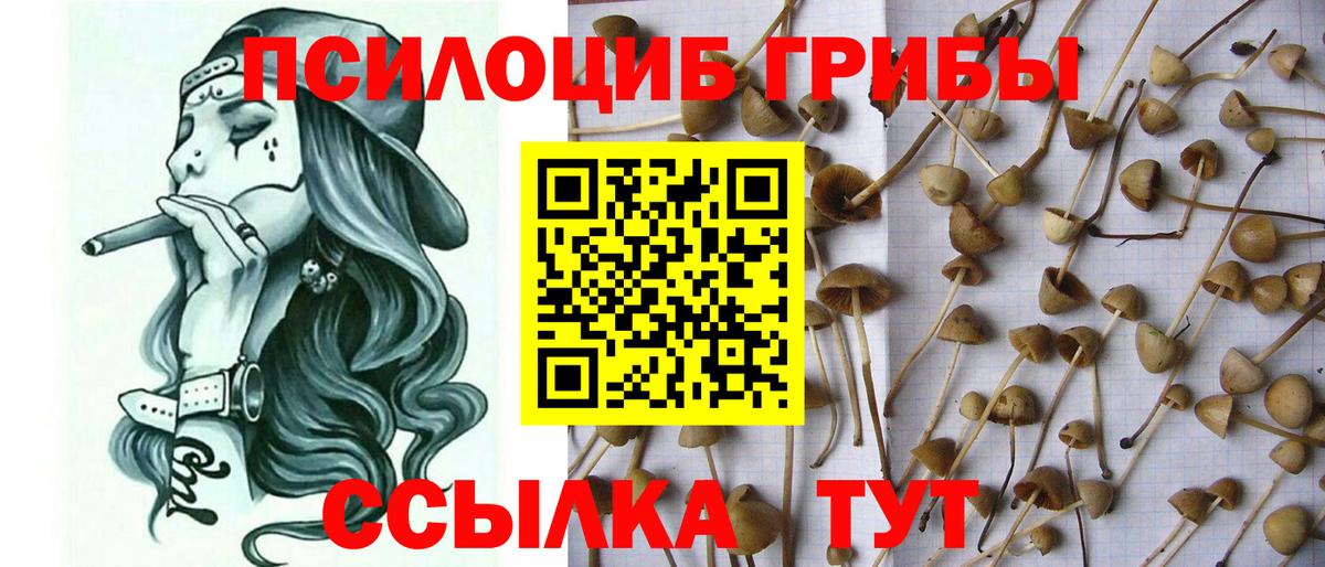 Галлюциногенные грибы Magic Shrooms  Вход с VPN  Усть-Джегута 